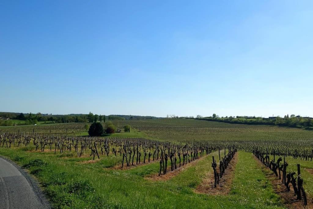 Entre Pierre Et Vigne - Charming Former Winery Farmhouse With Hot Tub & Swimming Pool Monestier  Buitenkant foto